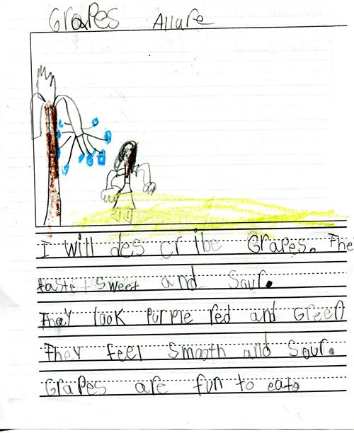 Descriptive Writing: Grapes 