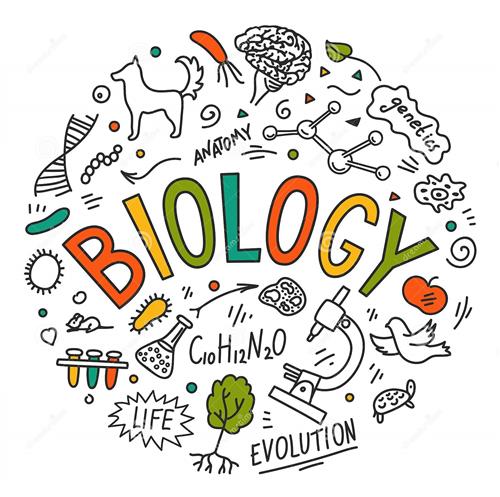 Biology 