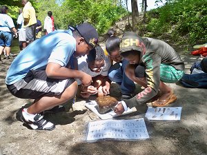 Students Identifying Macro-invertebrates