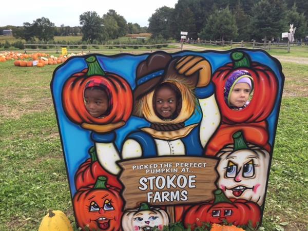 field trip 