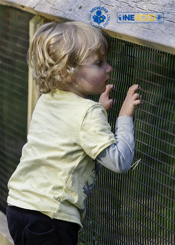 PreK fun night at the Zoo